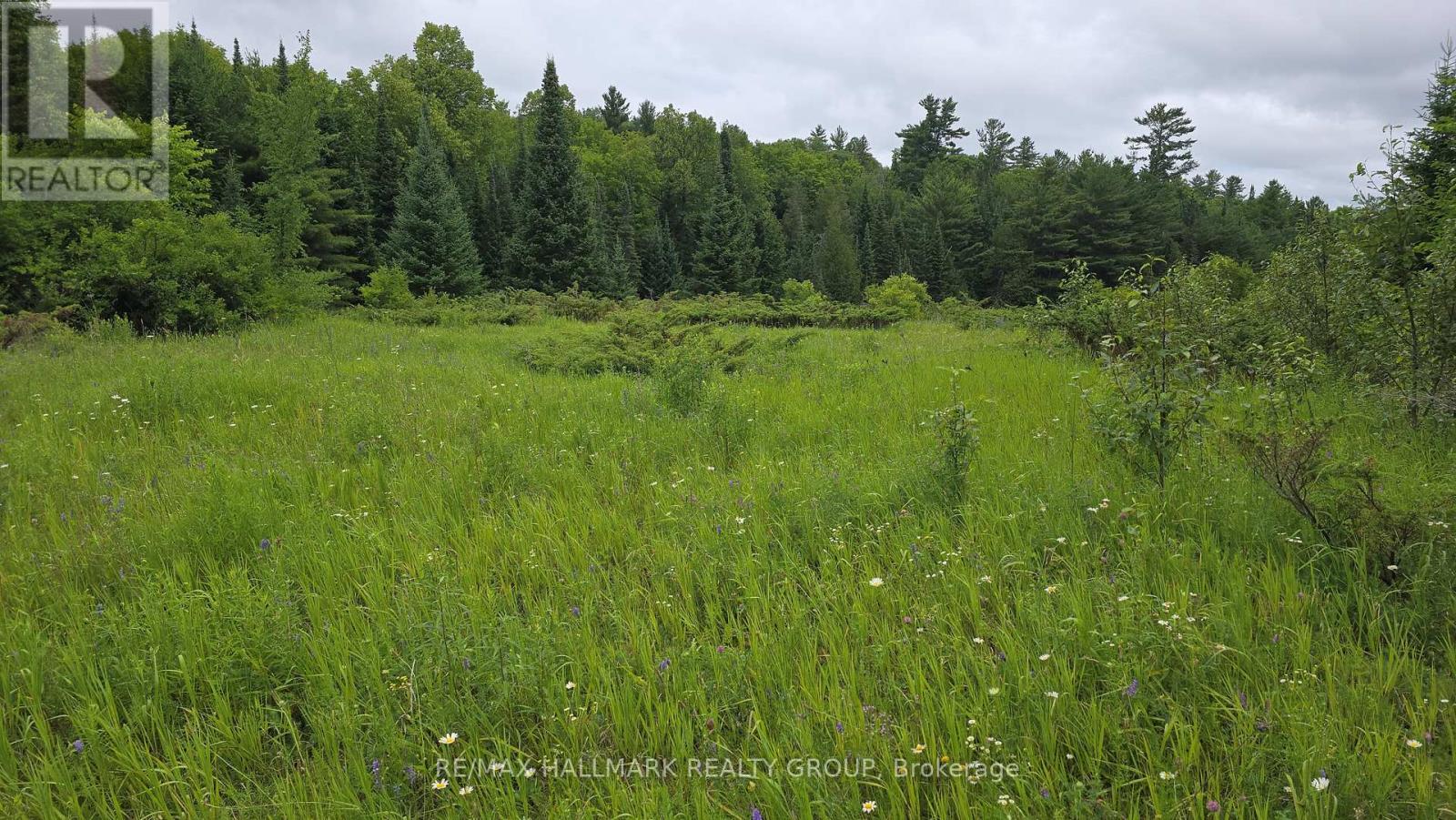 0000 Calabogie Road, Greater Madawaska, Ontario  K0J 1G0 - Photo 4 - X12106108