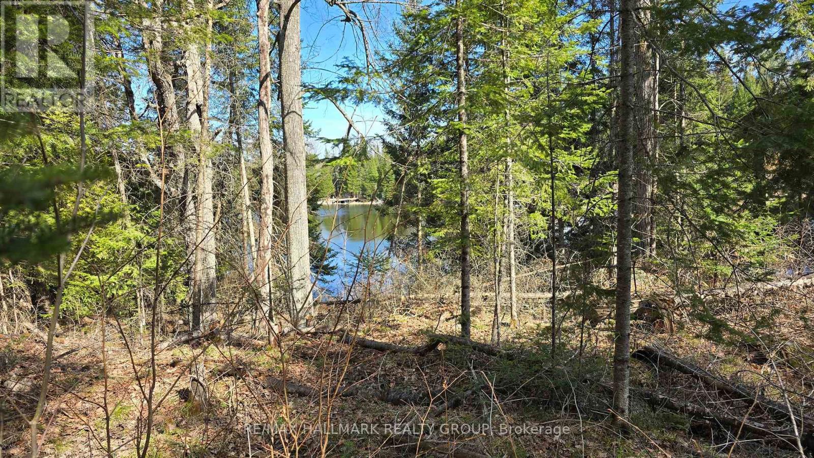0000 Calabogie Road, Greater Madawaska, Ontario  K0J 1G0 - Photo 8 - X12106108