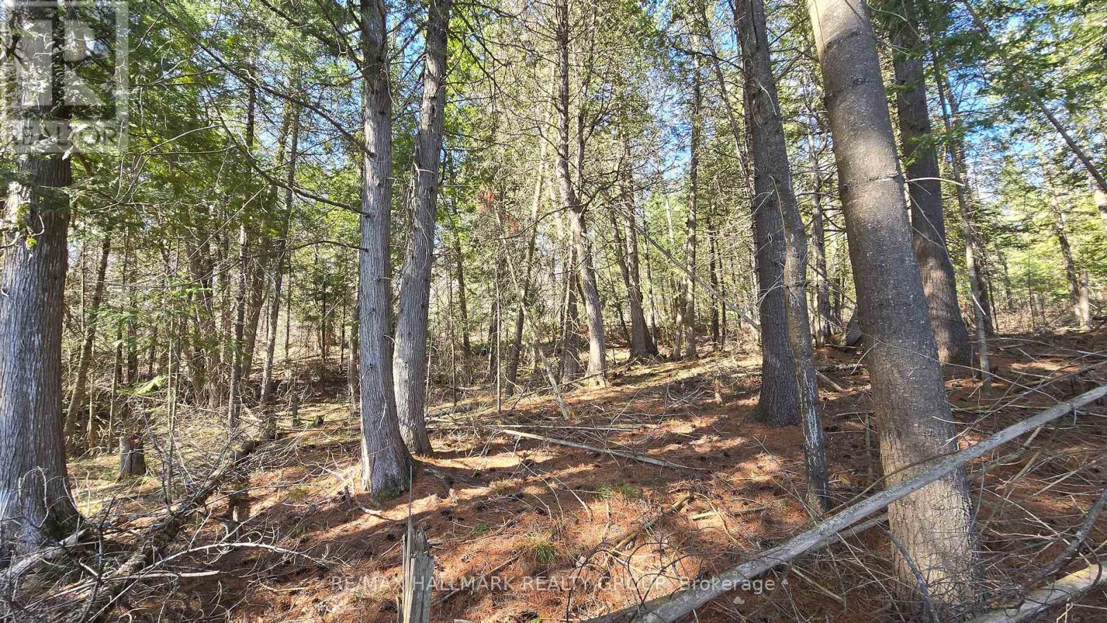0000 Calabogie Road, Greater Madawaska, Ontario  K0J 1G0 - Photo 12 - X12106108