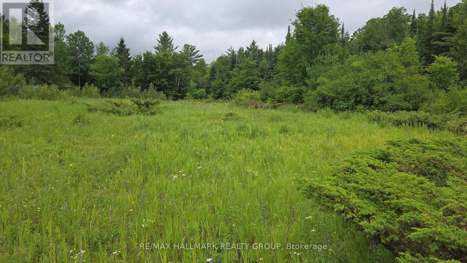 0000 Calabogie Road, Greater Madawaska, Ontario  K0J 1G0 - Photo 3 - X12106108