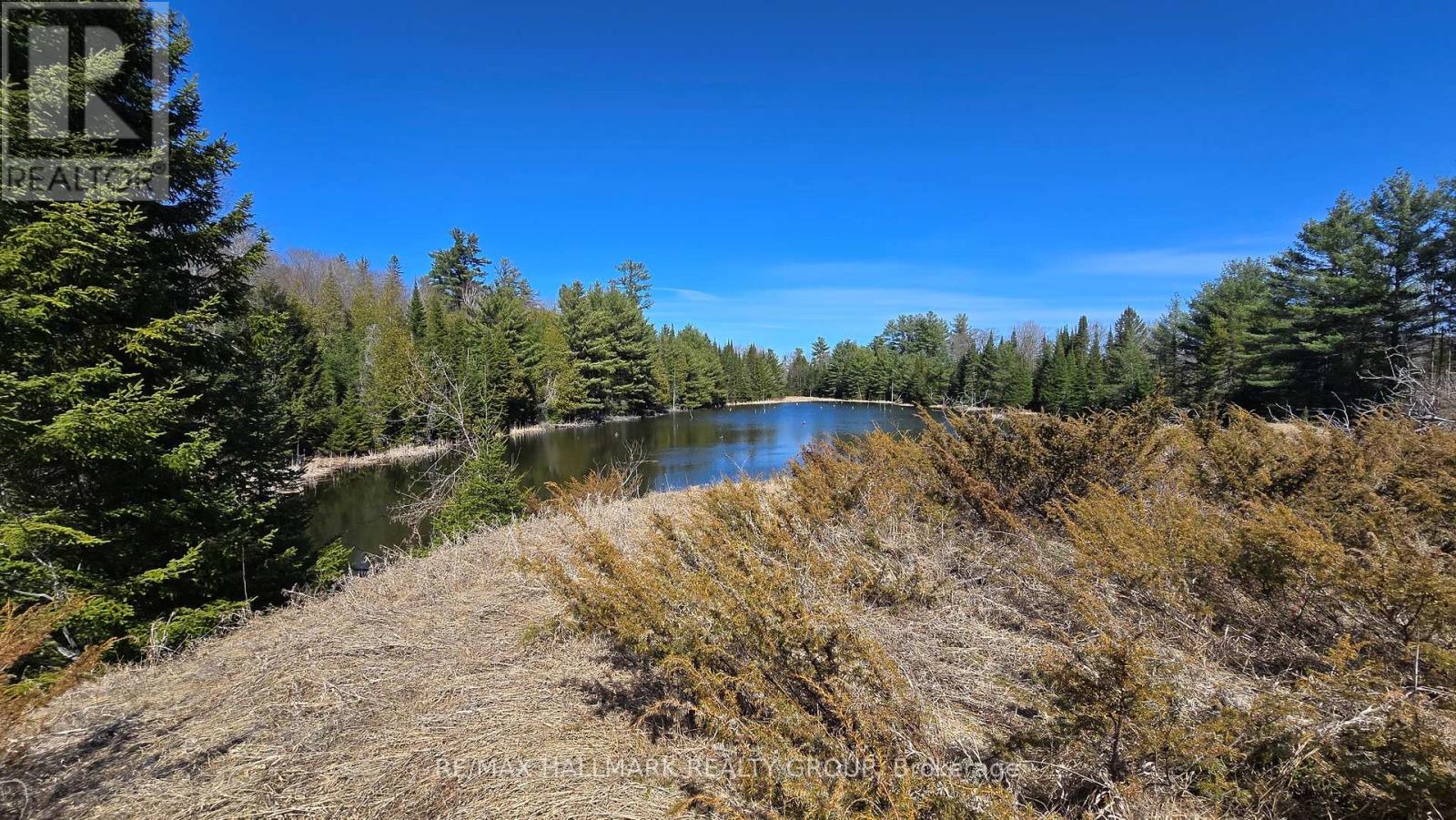 0000 Calabogie Road, Greater Madawaska, Ontario  K0J 1G0 - Photo 6 - X12106108