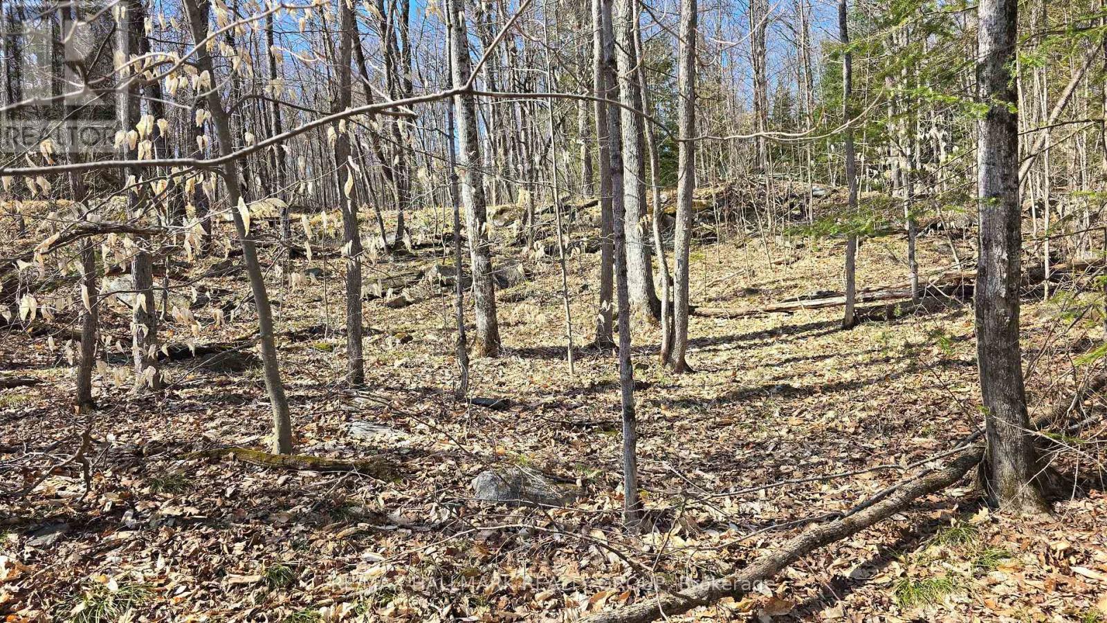 0000 Calabogie Road, Greater Madawaska, Ontario  K0J 1G0 - Photo 9 - X12106108