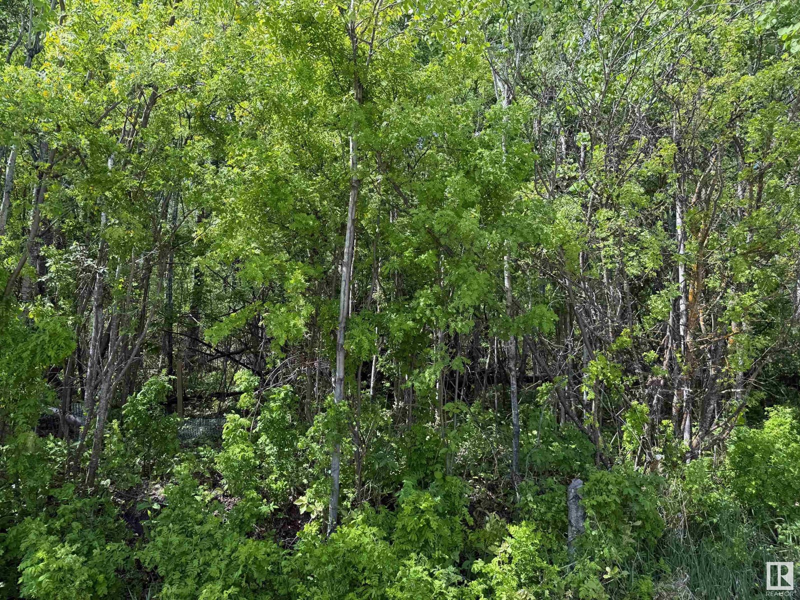 Lot 6 Baptiste Dr, Rural Athabasca County, Alberta  T9S 1R8 - Photo 2 - E4438645