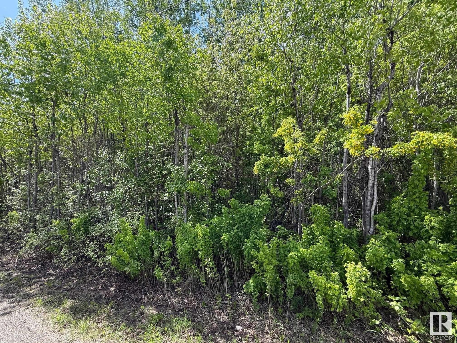 Lot 6 Baptiste Dr, Rural Athabasca County, Alberta  T9S 1R8 - Photo 4 - E4438645