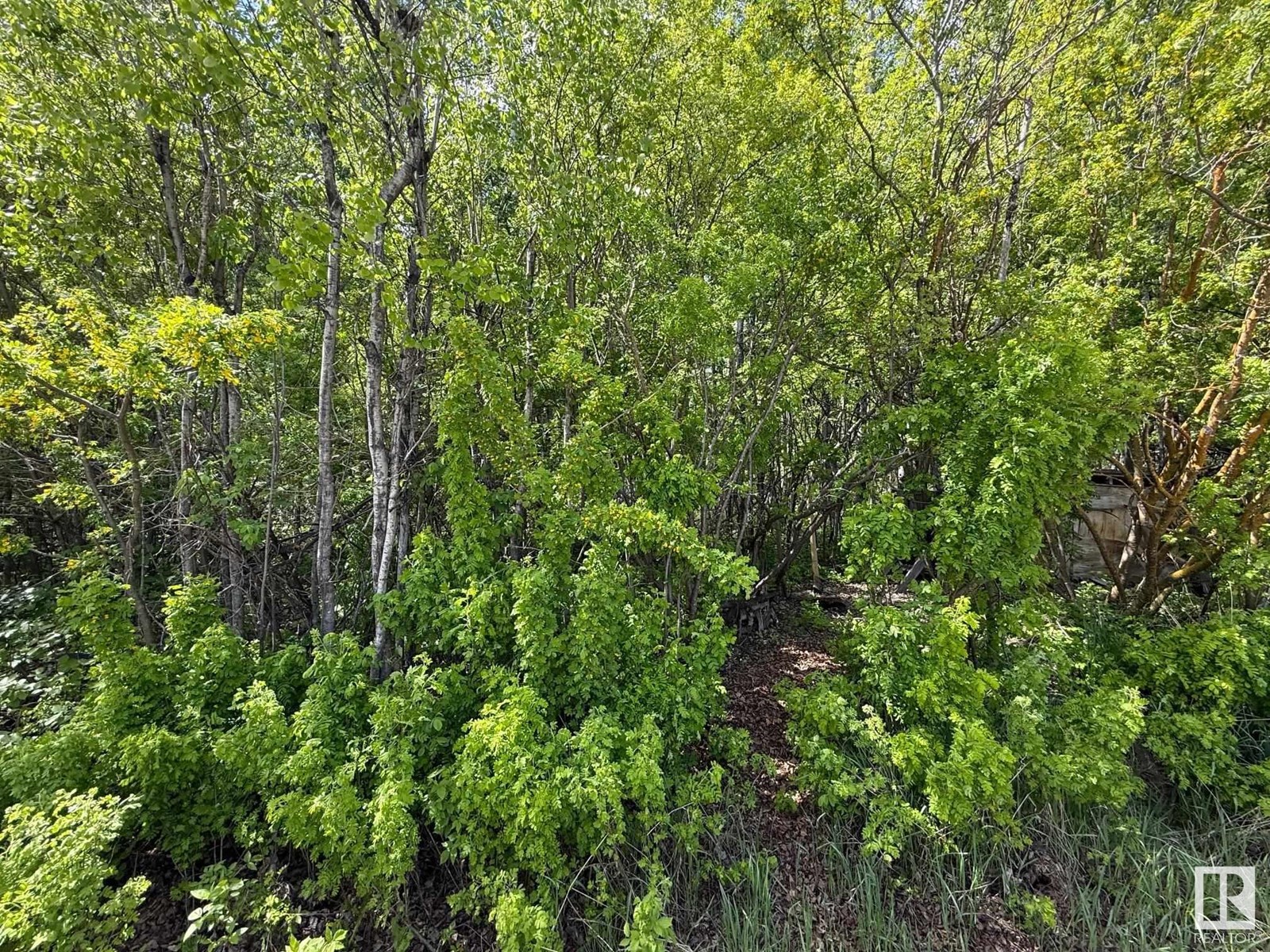 Lot 6 Baptiste Dr, Rural Athabasca County, Alberta  T9S 1R8 - Photo 3 - E4438645