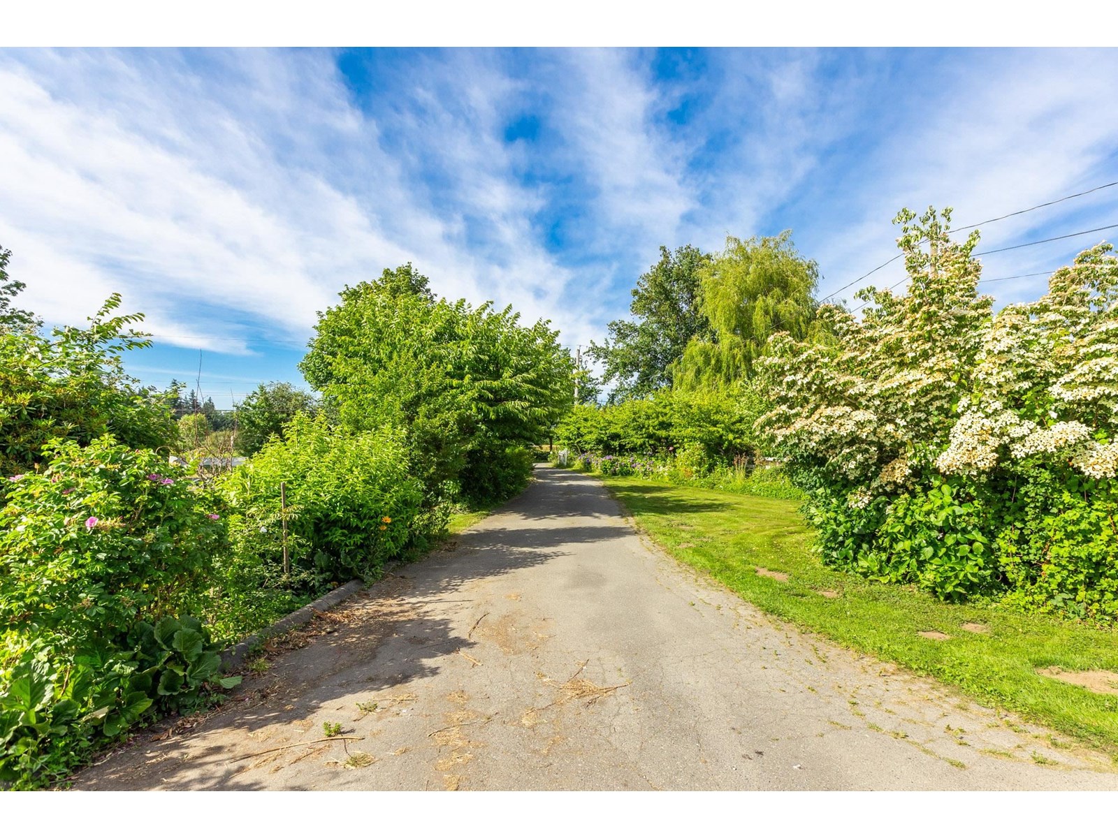 Property at 24990 36 AVENUE image 3