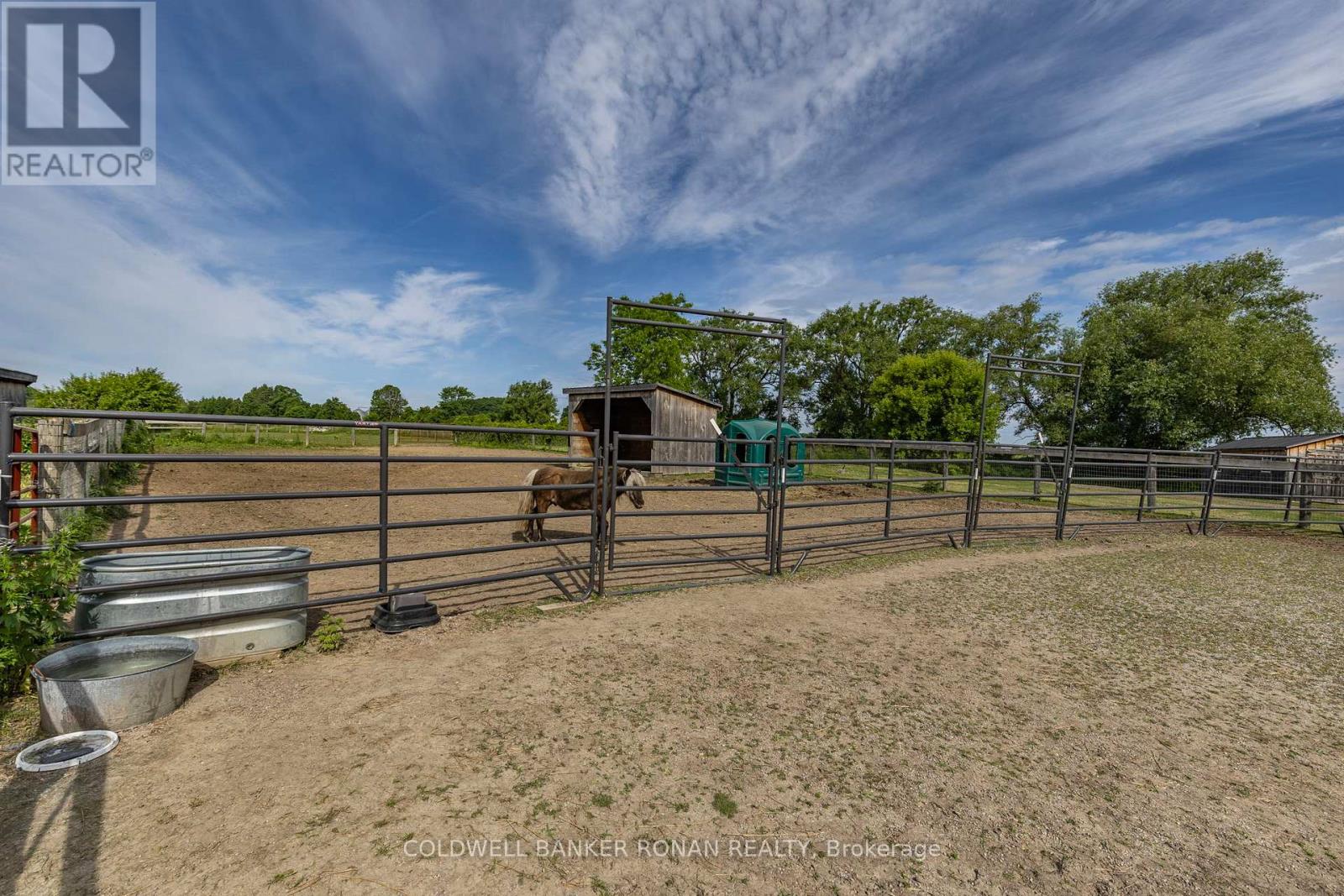4582 Concession Road 5, Adjala-Tosorontio (Loretto), Ontario  L0G 1L0 - Photo 40 - N12271125