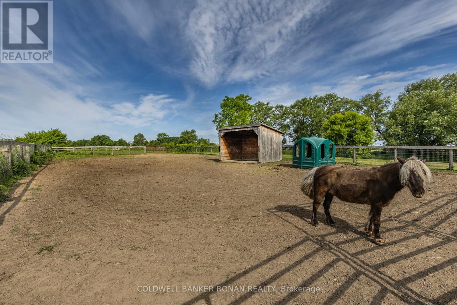 4582 Concession Road 5, Adjala-Tosorontio (Loretto), Ontario  L0G 1L0 - Photo 41 - N12271125
