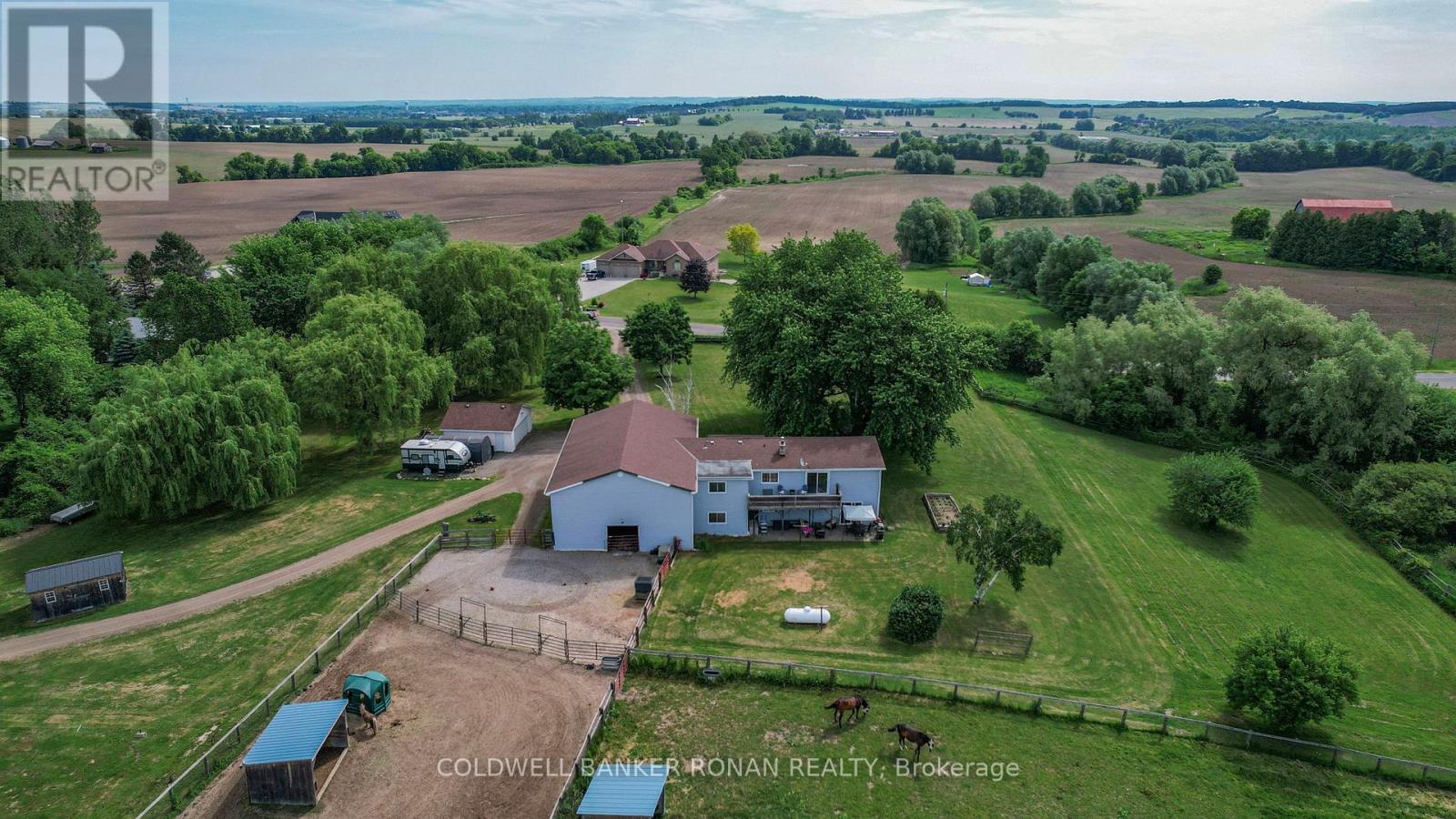 4582 Concession Road 5, Adjala-Tosorontio (Loretto), Ontario  L0G 1L0 - Photo 49 - N12271125