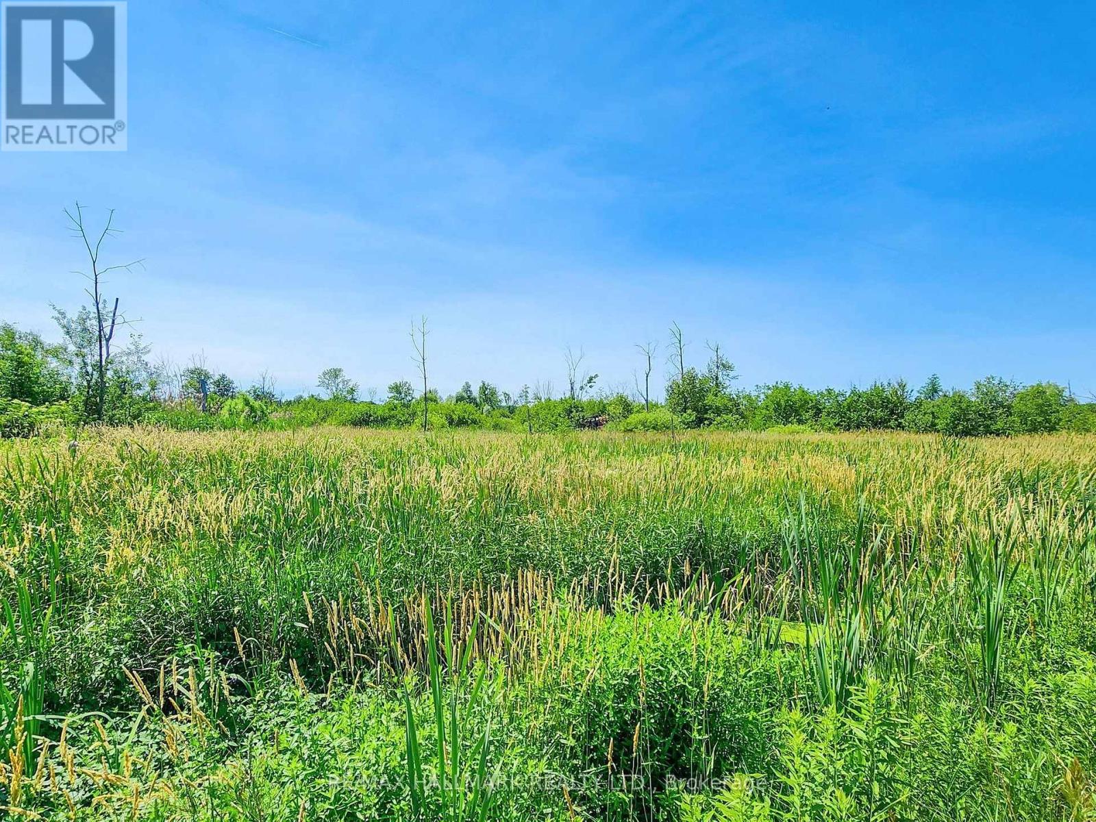 20200 Highway 48, East Gwillimbury, Ontario  L0G 1M0 - Photo 1 - N12271186