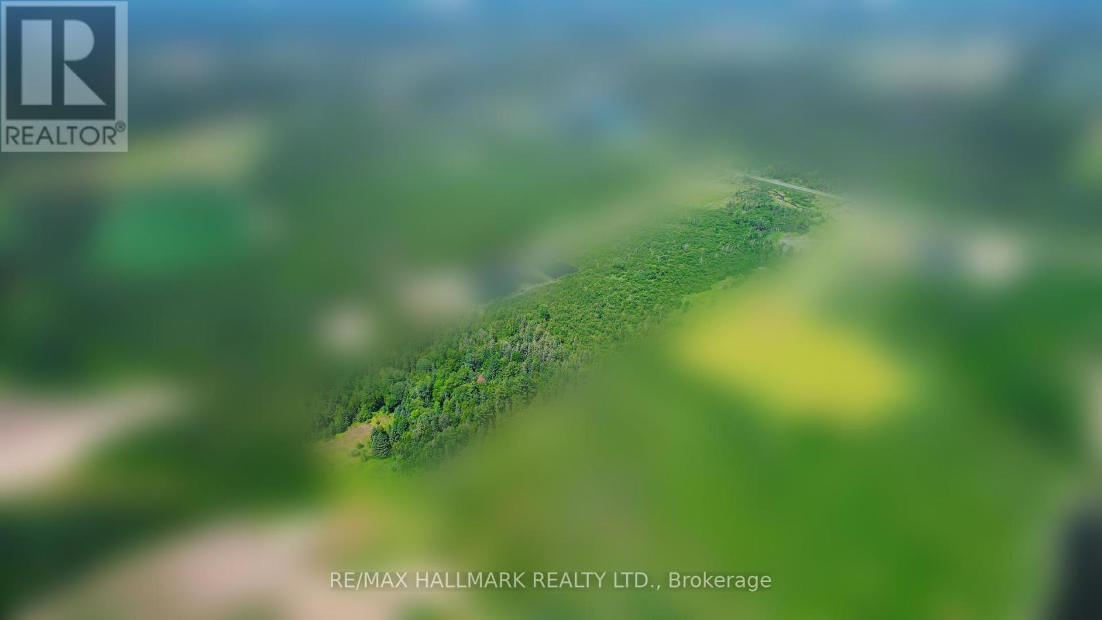 20200 Highway 48, East Gwillimbury, Ontario  L0G 1M0 - Photo 7 - N12271186