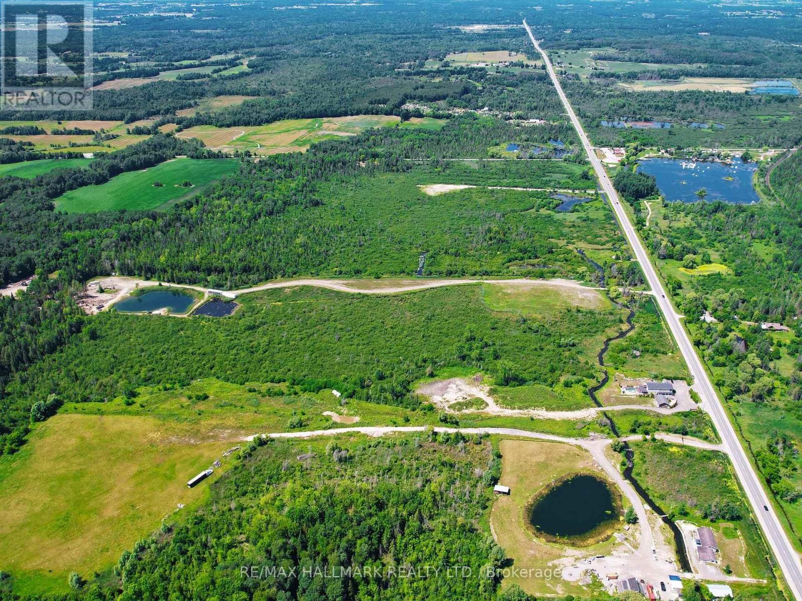 20200 Highway 48, East Gwillimbury, Ontario  L0G 1M0 - Photo 8 - N12271186