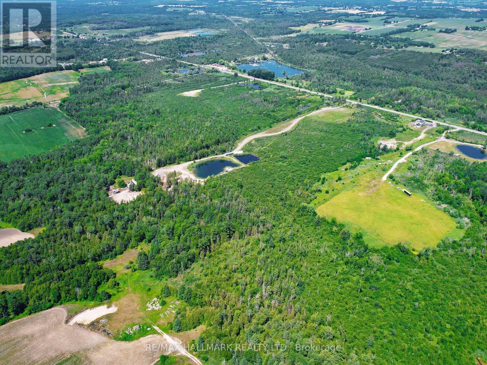 20200 Highway 48, East Gwillimbury, Ontario  L0G 1M0 - Photo 9 - N12271186