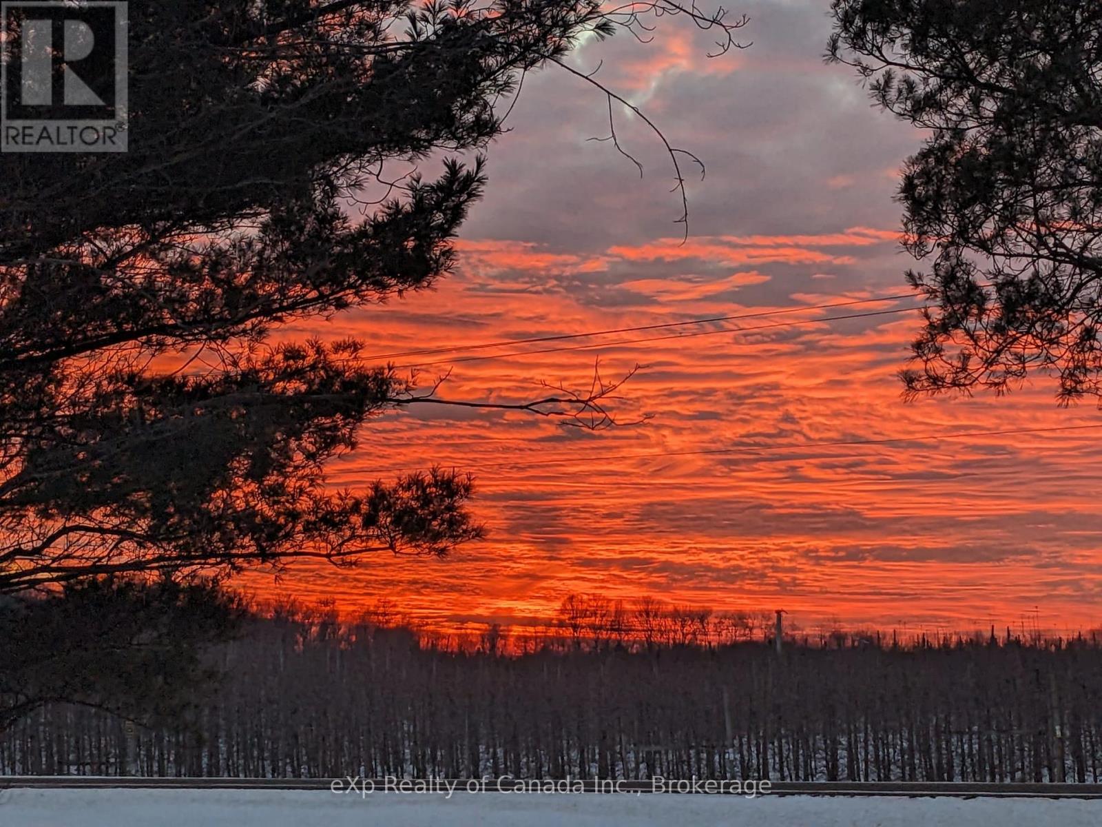 6480 Toll Gate Road, Bayham, Ontario  N0J 1Z0 - Photo 16 - X12223965