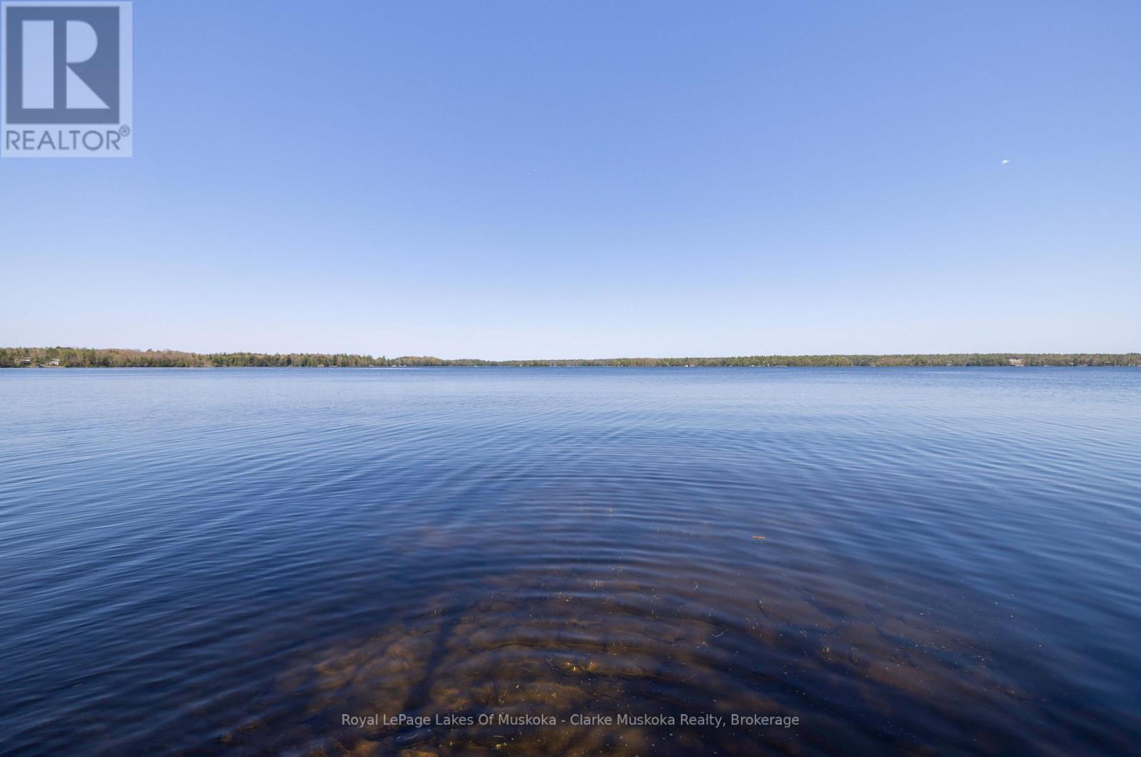 185 Woodland Trail, Georgian Bay, Ontario  L0K 1S0 - Photo 25 - S12221314
