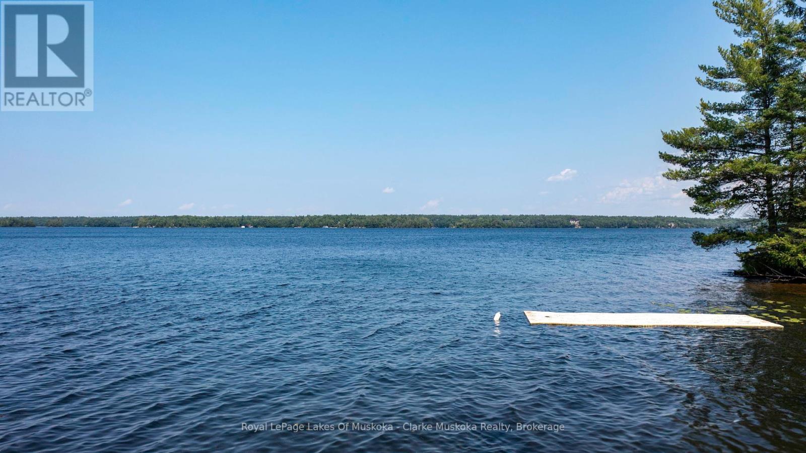 185 Woodland Trail, Georgian Bay, Ontario  L0K 1S0 - Photo 7 - S12221314
