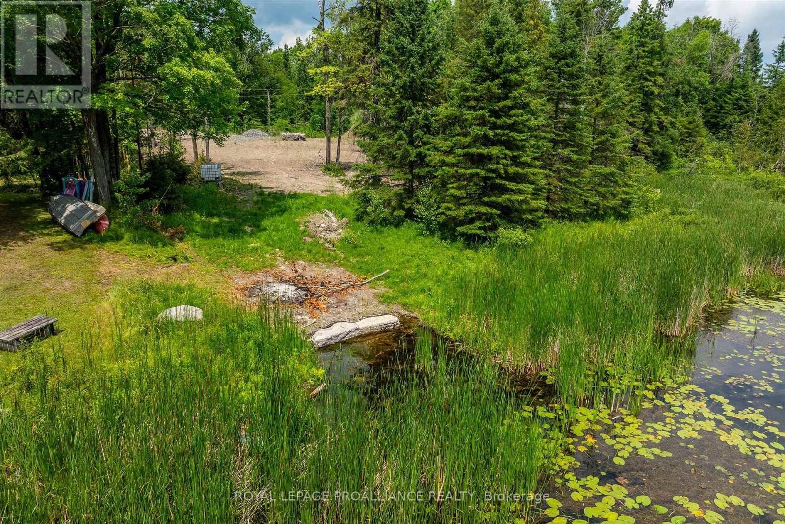0 PEARCE ROAD, Kawartha Lakes, Ontario