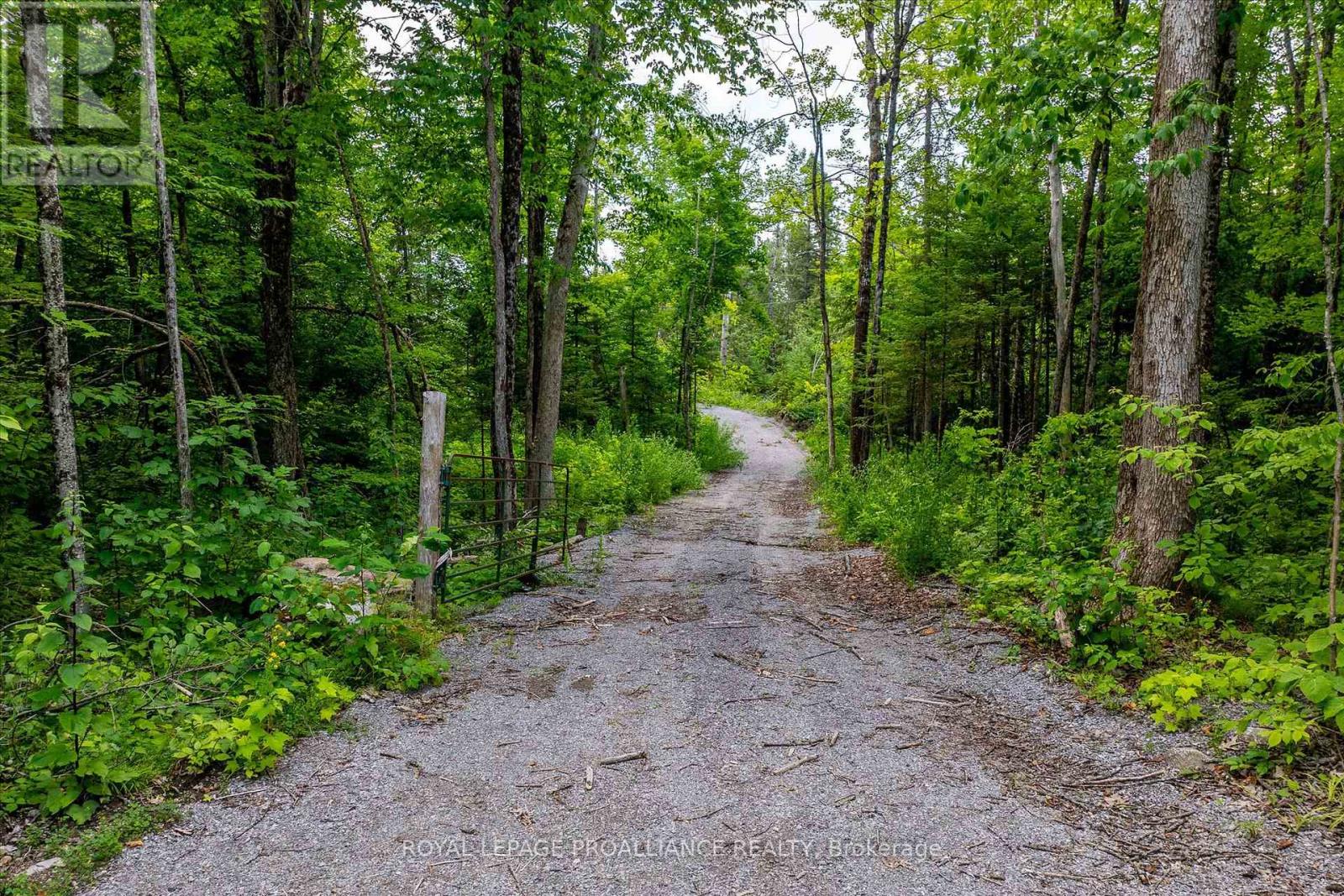 0 Pearce Road, Kawartha Lakes, Ontario  K0M 2B0 - Photo 34 - X12271311