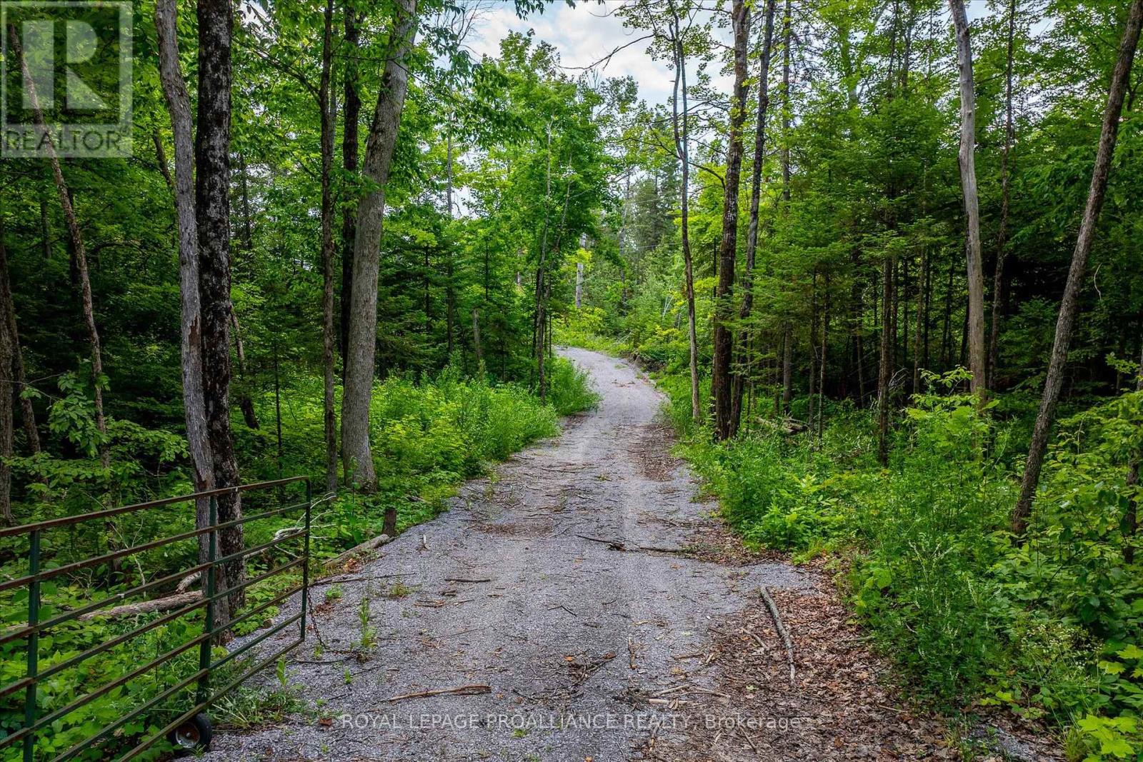 0 Pearce Road, Kawartha Lakes, Ontario  K0M 2B0 - Photo 35 - X12271311