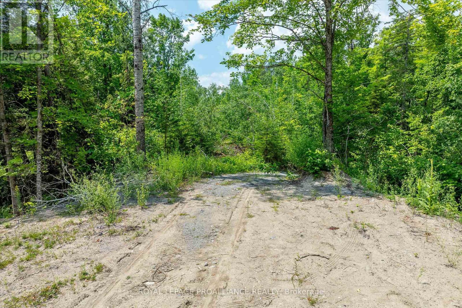 0 Pearce Road, Kawartha Lakes, Ontario  K0M 2B0 - Photo 36 - X12271311