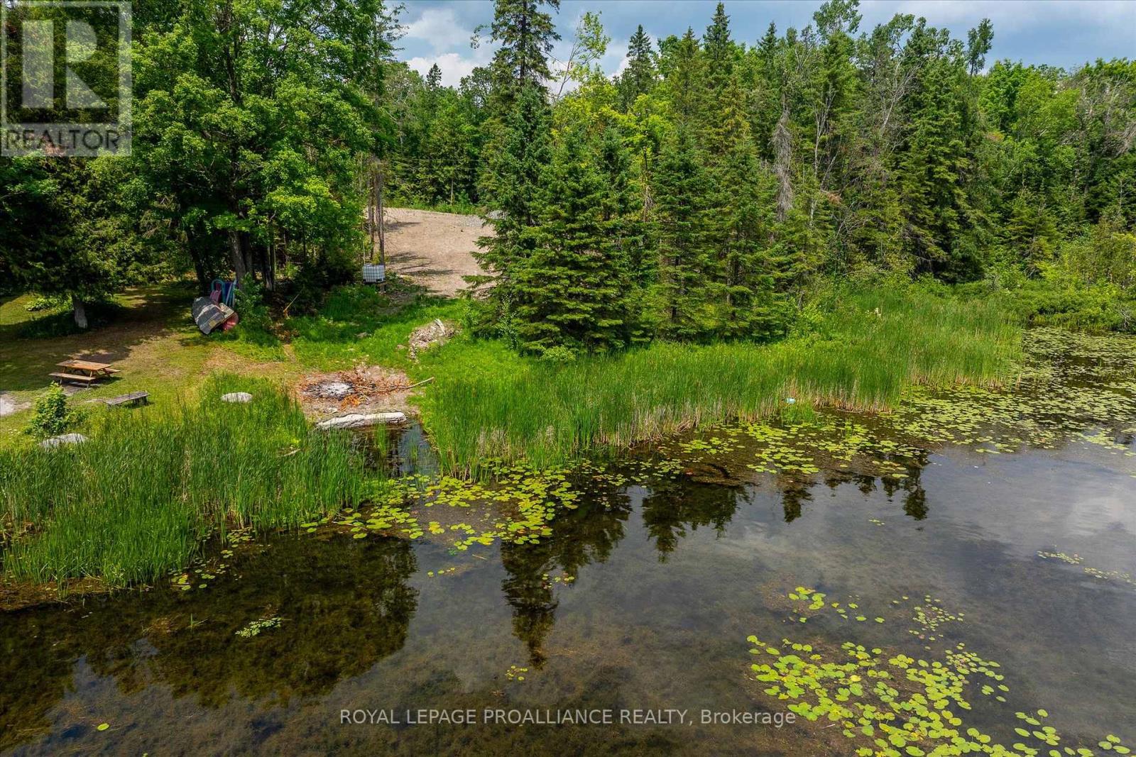 0 Pearce Road, Kawartha Lakes, Ontario  K0M 2B0 - Photo 4 - X12271311