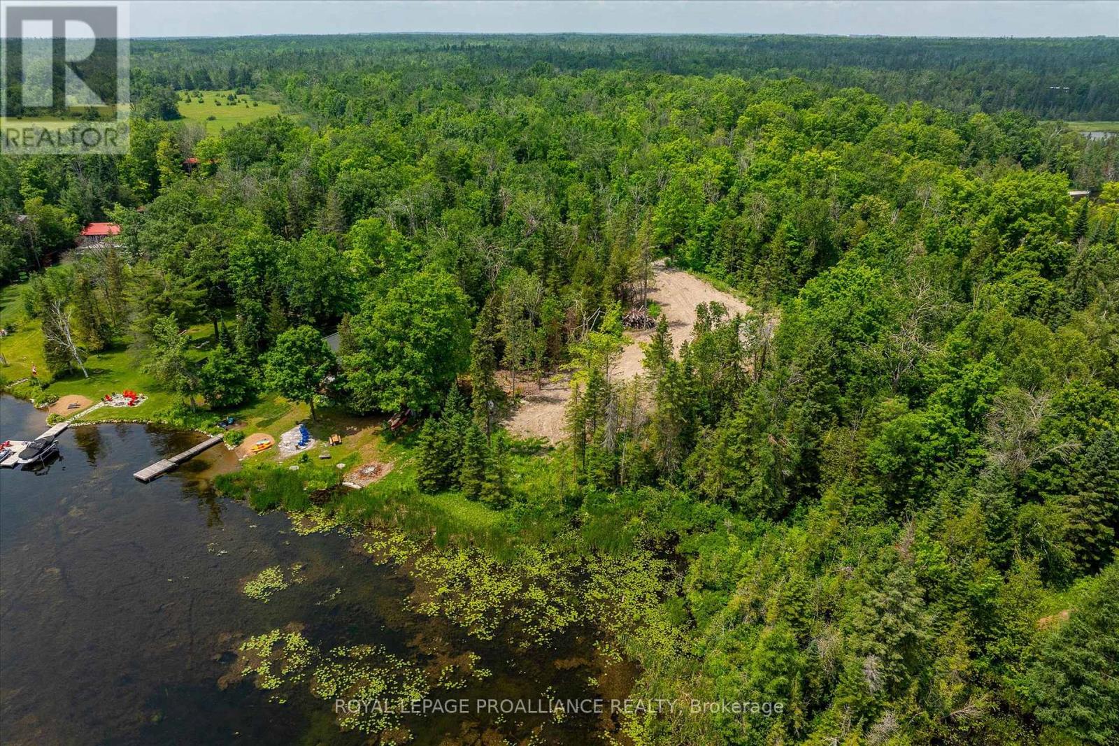 0 Pearce Road, Kawartha Lakes, Ontario  K0M 2B0 - Photo 8 - X12271311