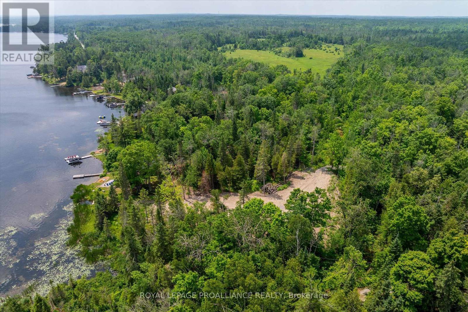 0 Pearce Road, Kawartha Lakes, Ontario  K0M 2B0 - Photo 9 - X12271311