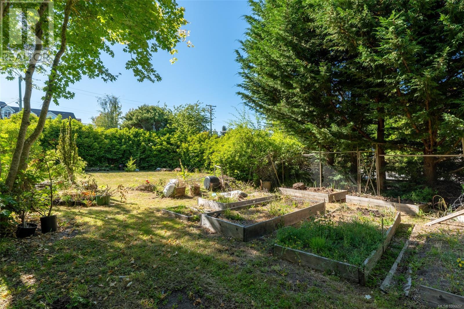 1539 Church Ave, Saanich, British Columbia  V8P 2G9 - Photo 13 - 1006657