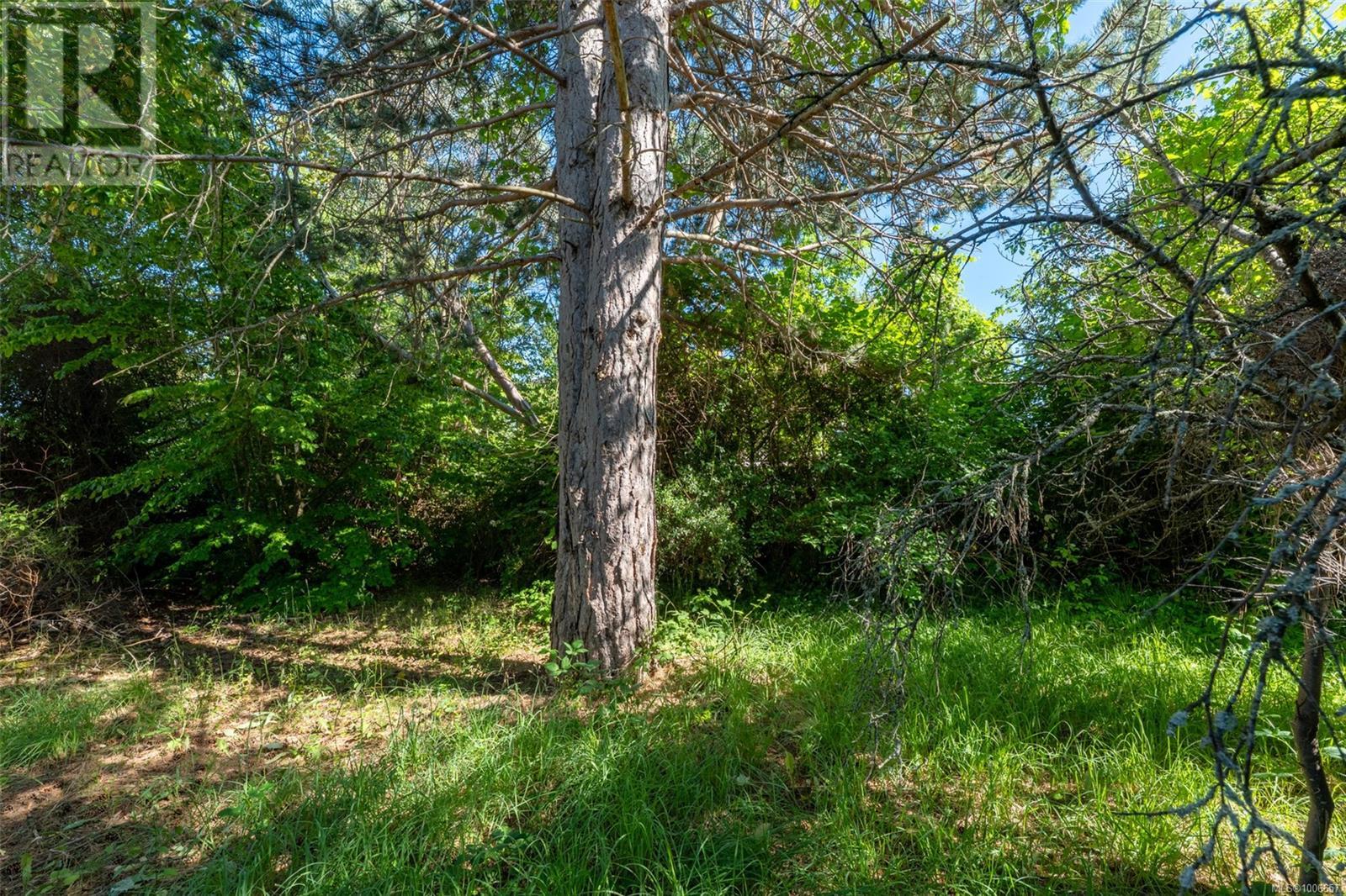 1539 Church Ave, Saanich, British Columbia  V8P 2G9 - Photo 14 - 1006657