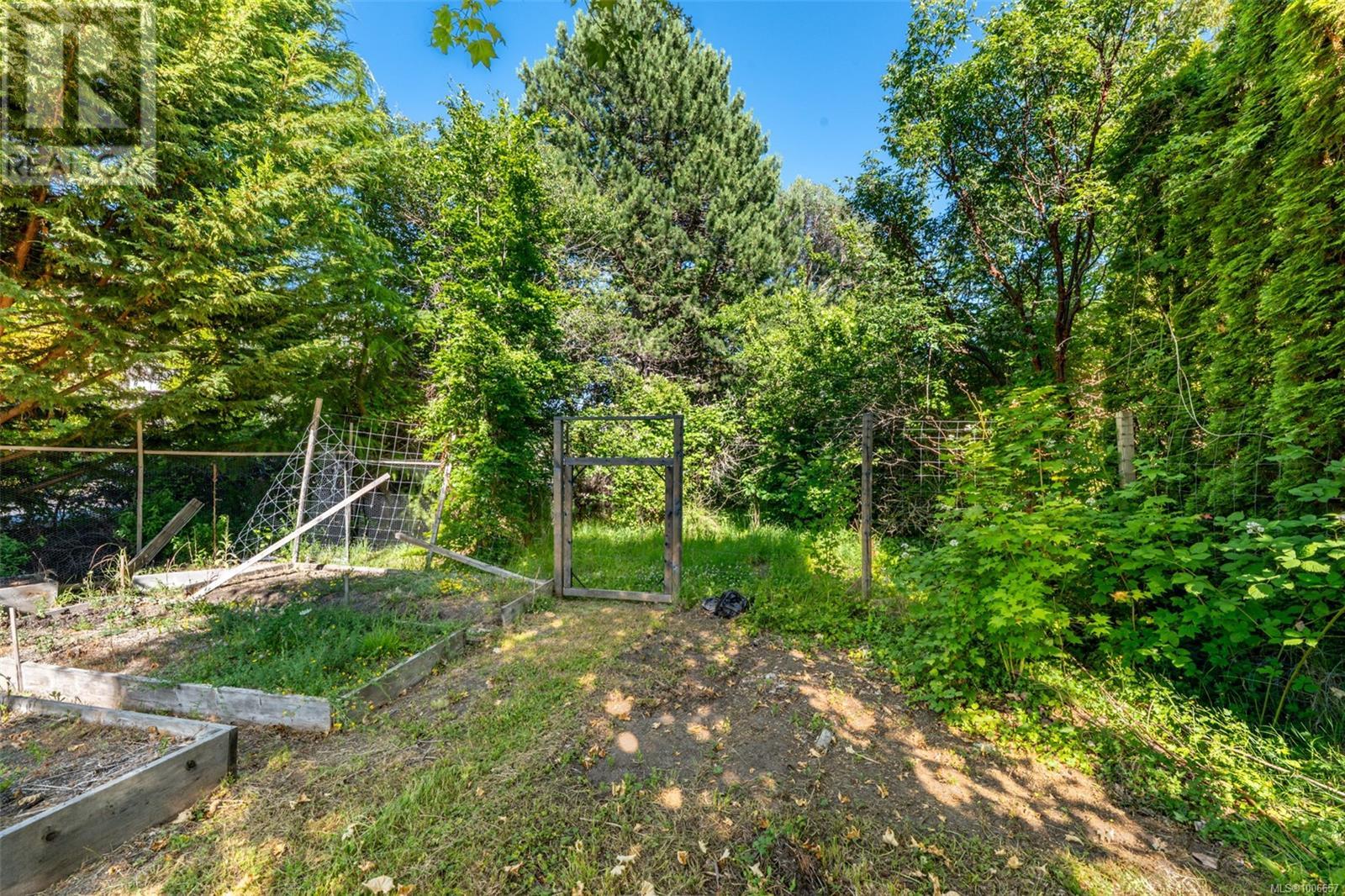 1539 Church Ave, Saanich, British Columbia  V8P 2G9 - Photo 9 - 1006657