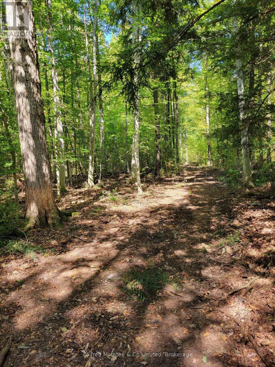 383 Concession 10 Road E, Arran-Elderslie, Ontario  N0H 2N0 - Photo 48 - X12269720