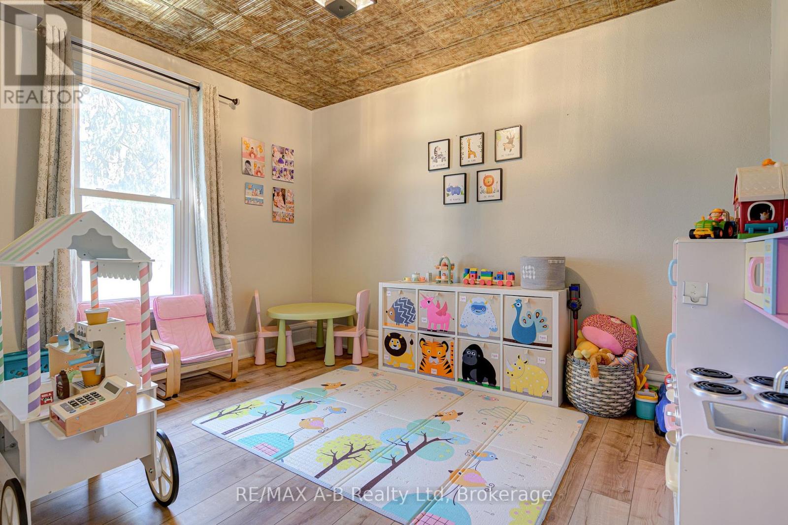 2 Loveys Street E, East Zorra-Tavistock, Ontario  N0J 1L0 - Photo 17 - X12271486