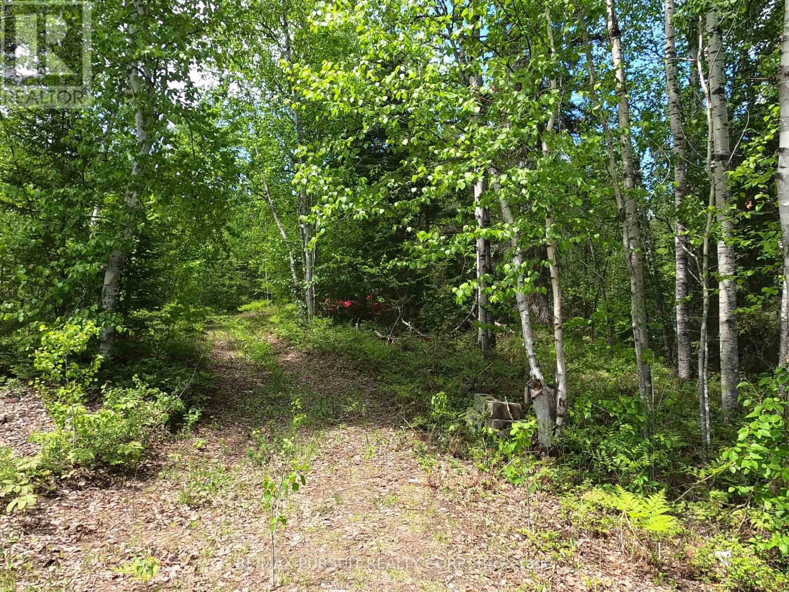 425 Bouchard Road, Kirkland Lake, Ontario P0K 1N0 - Photo 46 - T12263722