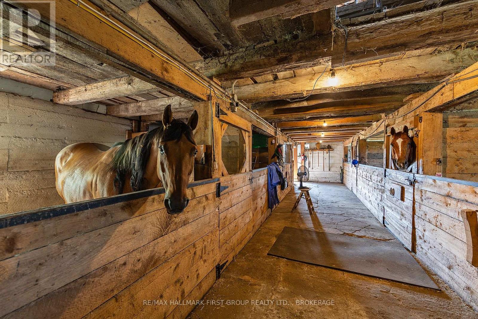 3656 County Rd 14 Road, Stone Mills (Stone Mills), Ontario  K0K 1Z0 - Photo 35 - X12271455