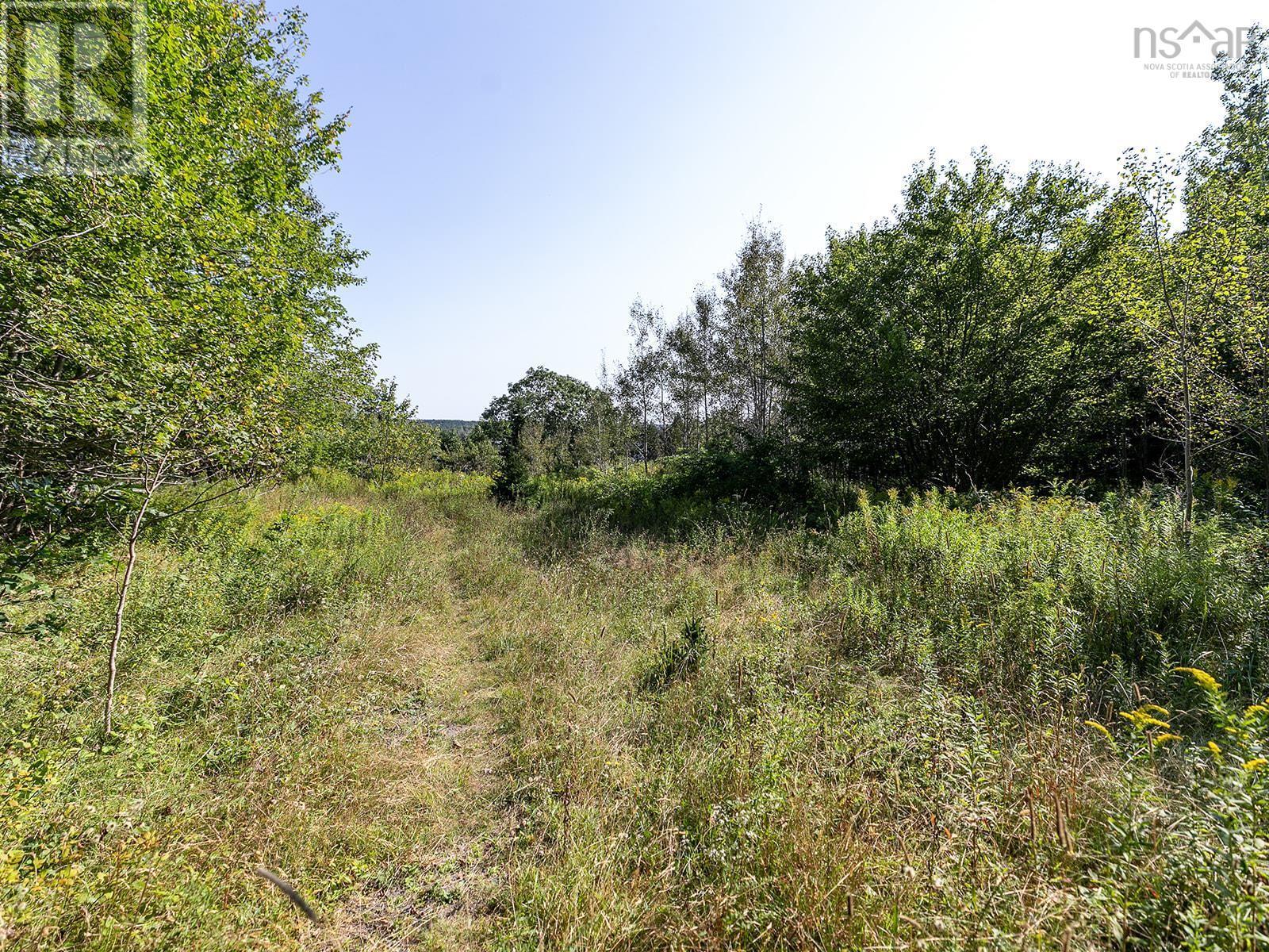 293 Hillside Drive, Boutiliers Point, Nova Scotia  B3Z 1W9 - Photo 5 - 202513768