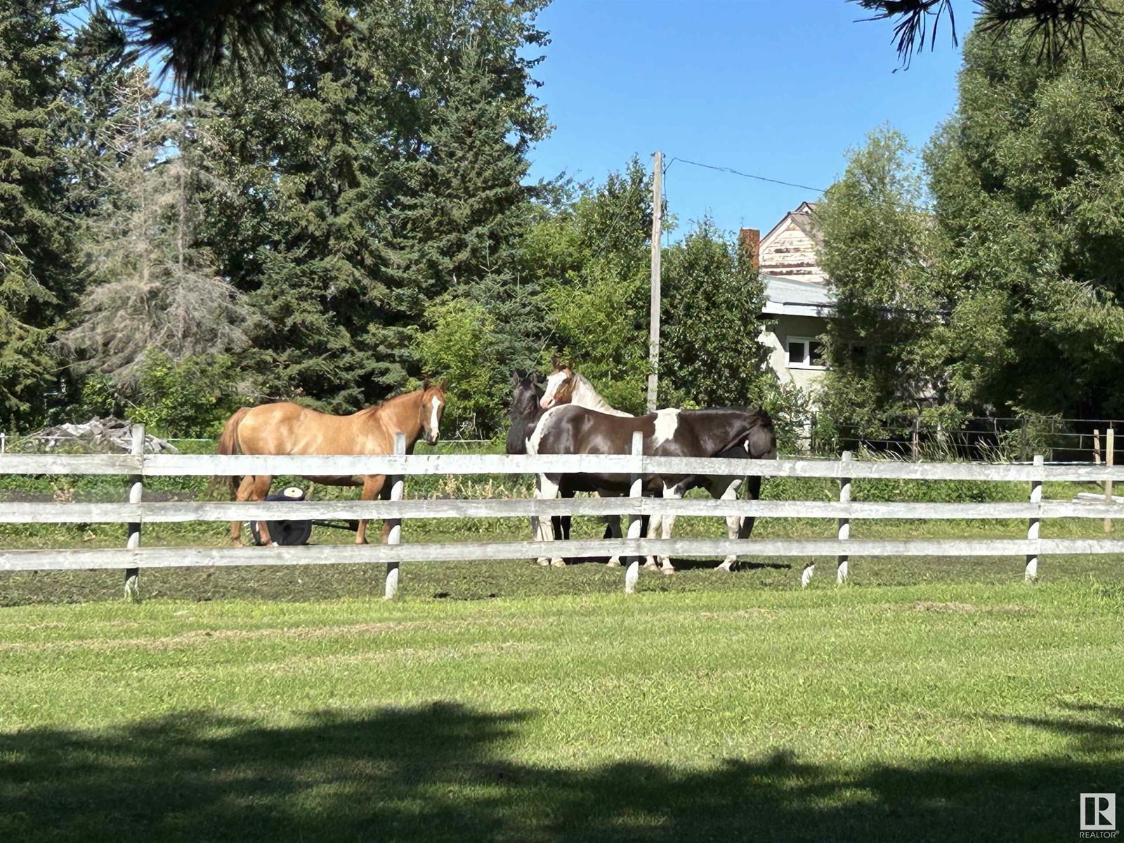 5001 50 St, Rural Westlock County, Alberta  T0G 0S0 - Photo 47 - E4446563