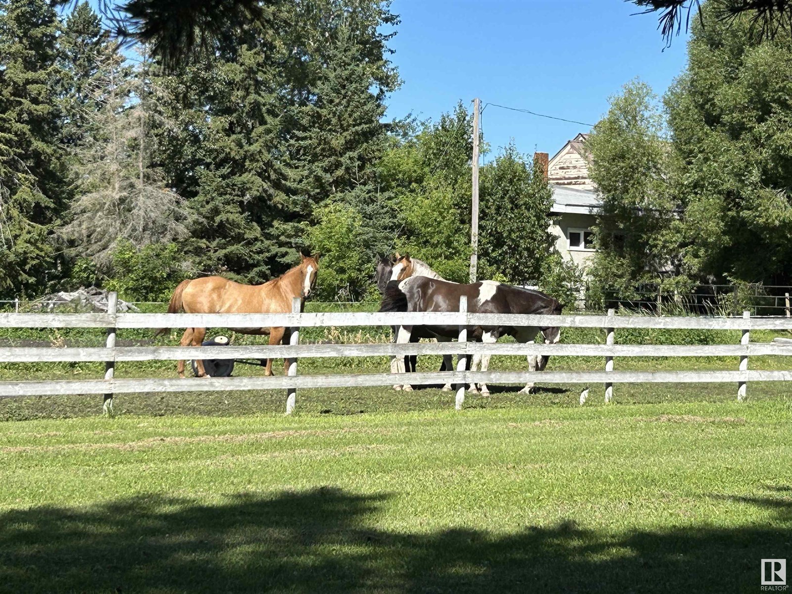 5001 50 St, Rural Westlock County, Alberta  T0G 0S0 - Photo 48 - E4446563