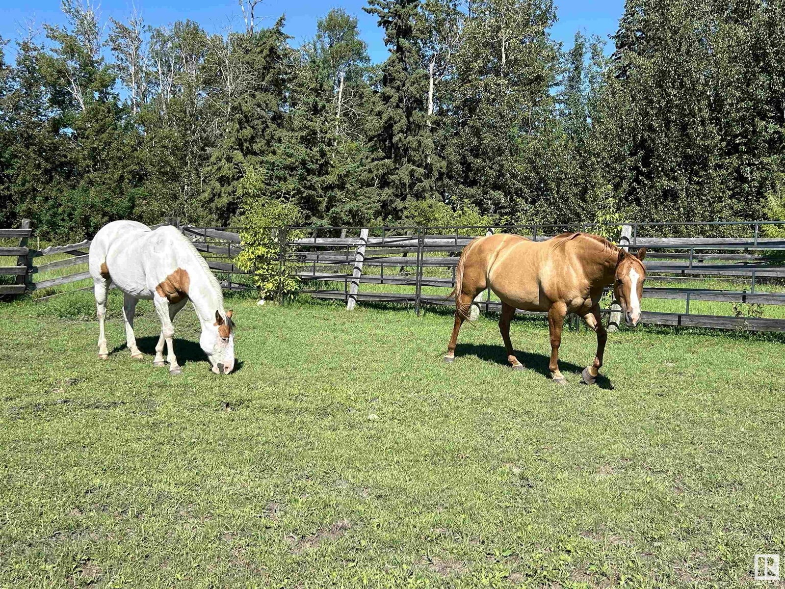 5001 50 St, Rural Westlock County, Alberta  T0G 0S0 - Photo 66 - E4446563