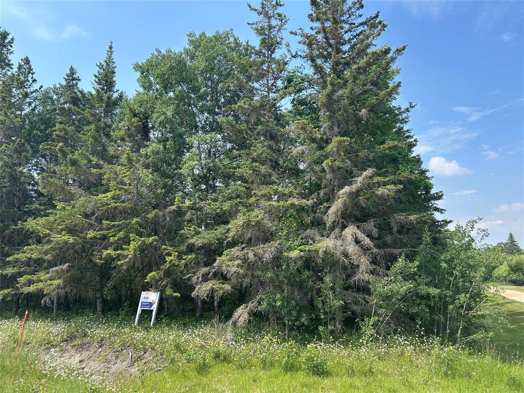 38 Lake Drive, Gimli, Manitoba  R0C 1B0 - Photo 1 - 202516918