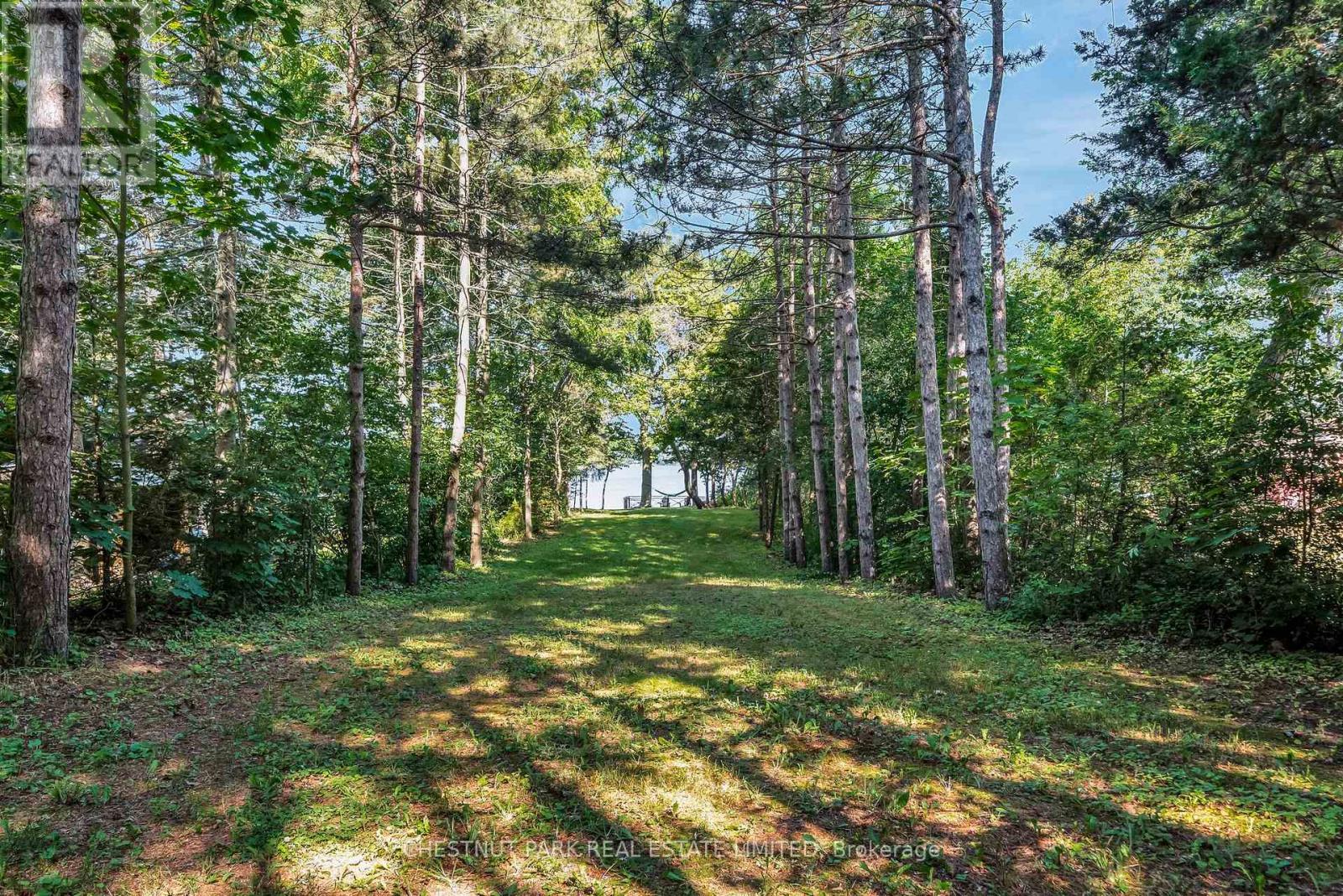1716 County Rd 12, Prince Edward County, Ontario  K0K 2T0 - Photo 43 - X12271914