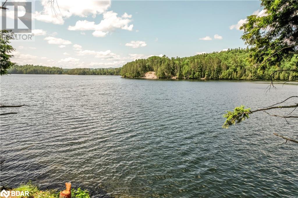 592 Moccasin Lake Road, Palmer Rapids, Ontario  K0J 2E0 - Photo 18 - 40748915