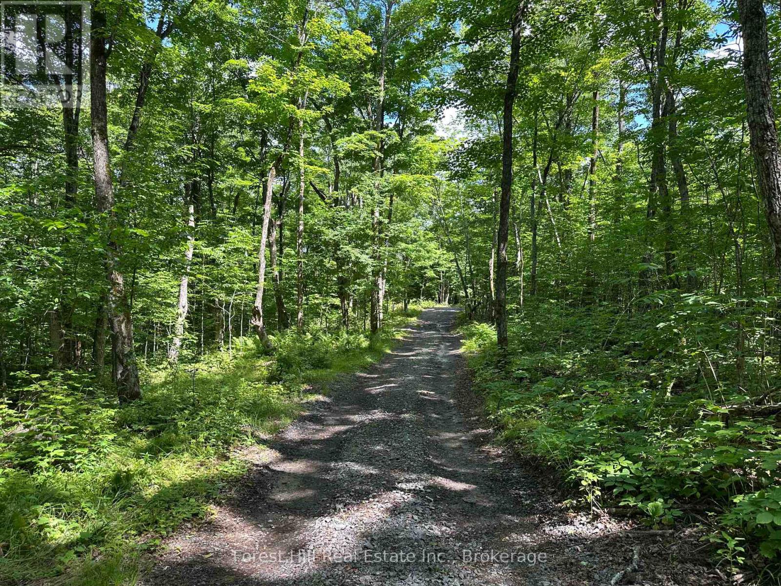0-2 Jacks Lake, Parry Sound Remote Area, Ontario  P0H 1N0 - Photo 3 - X12272272