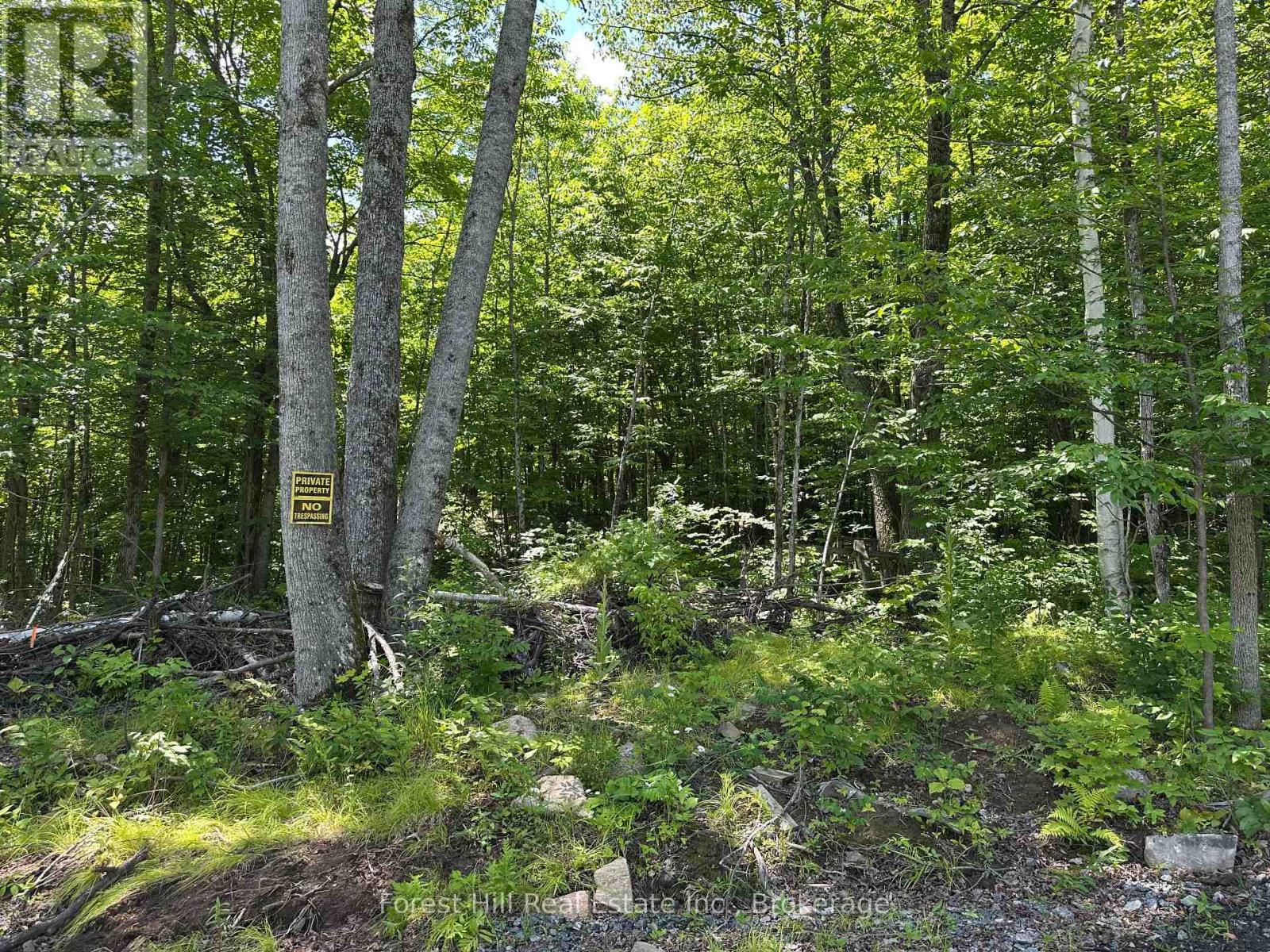 0-3 Jacks Lake, Parry Sound Remote Area, Ontario  P0H 1N0 - Photo 2 - X12272273