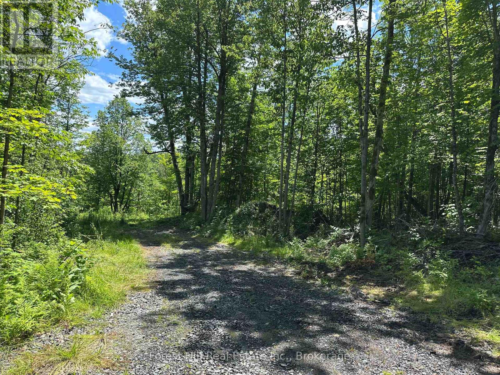 0-3 Jacks Lake, Parry Sound Remote Area, Ontario  P0H 1N0 - Photo 4 - X12272273