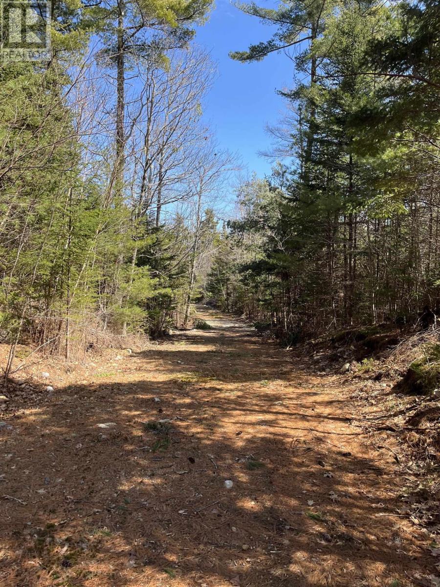 Lot 101 Wrights Road, Shelburne, Nova Scotia  B0T 1W0 - Photo 4 - 202512371