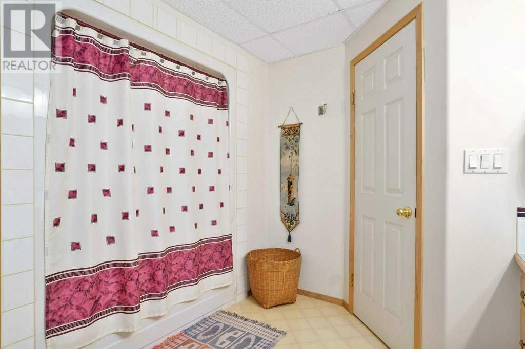 335016 Hi Way 21, Rural Kneehill County, Alberta  T0M 2C0 - Photo 28 - A2185227