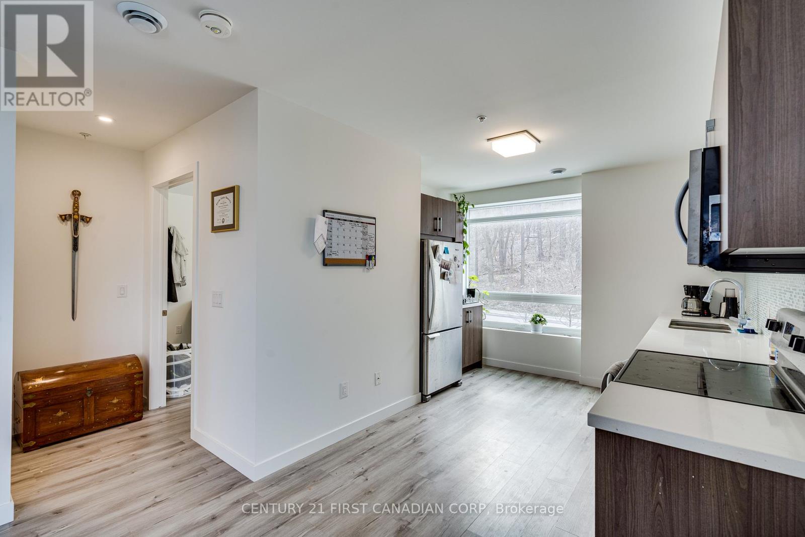 103 - 455 Charlton Avenue, Hamilton, Ontario  L8N 0B2 - Photo 13 - X12272404