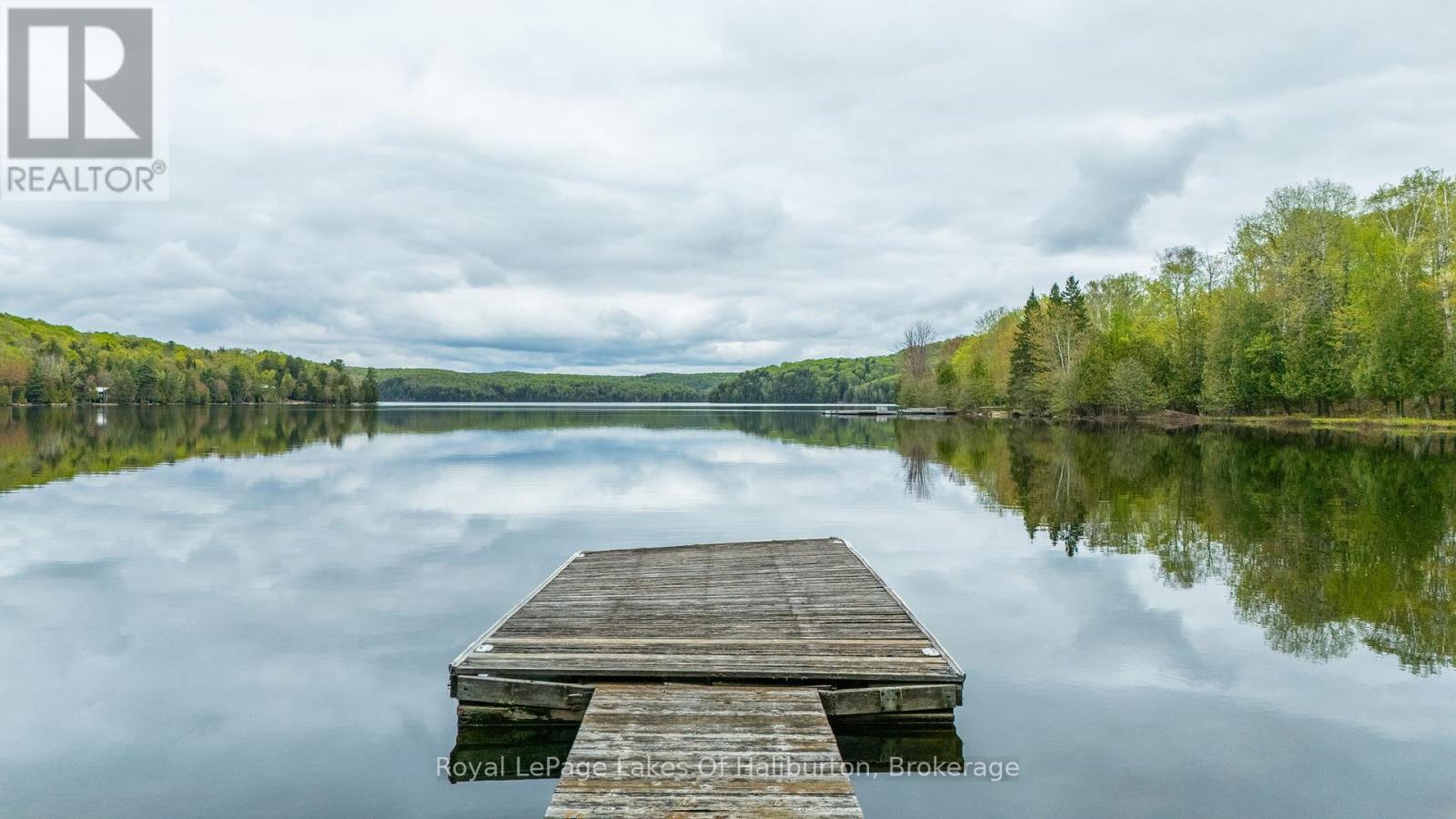 1111 Elk Drive, Dysart Et Al, Ontario  K0M 1S0 - Photo 41 - X12272466