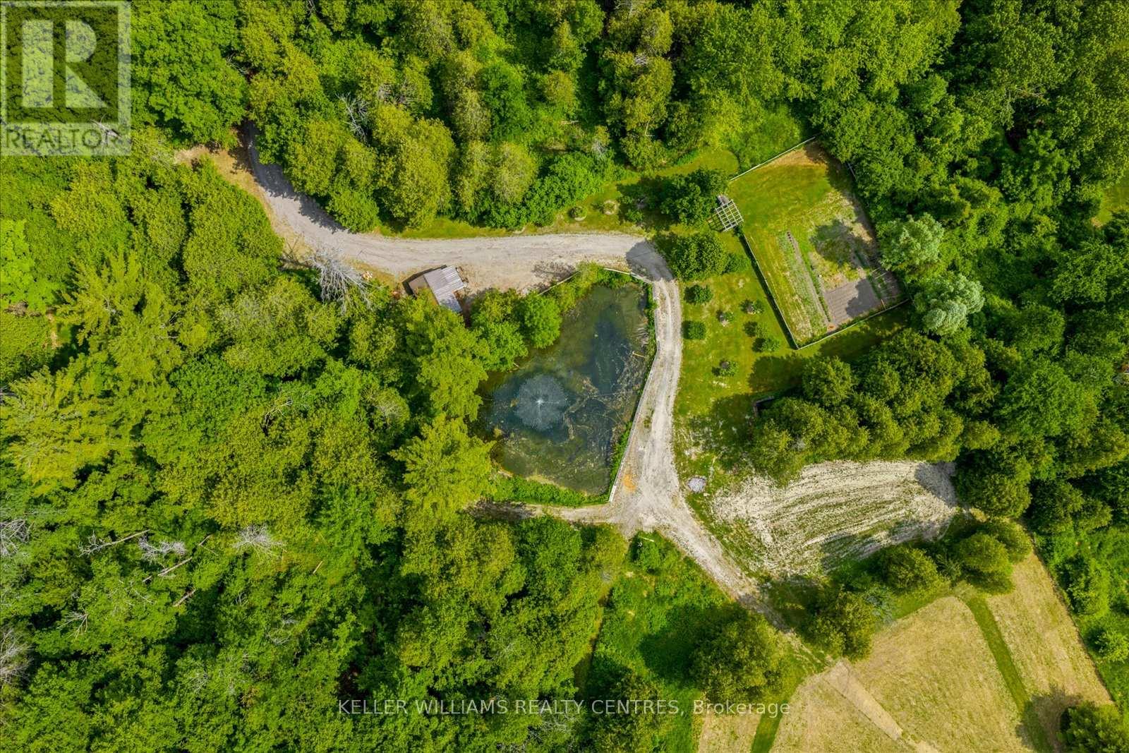 1987 10th Side Road, Bradford West Gwillimbury, Ontario  L3Z 0Y3 - Photo 49 - N12272564