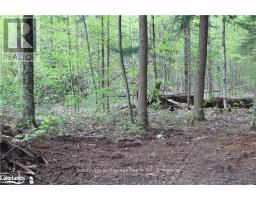 0 118 Highway E, Bracebridge (Draper), Ca